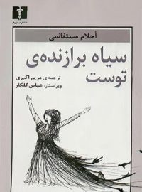 سیاه برازنده ی توست - اثر احلام مستغانمی - انتشارات نیلوفر