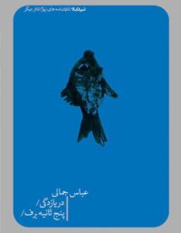 دریازدگی - پنج ثانیه برف - اثر عباس جمالی - انتشارات نیماژ