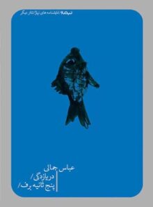 دریازدگی - پنج ثانیه برف - اثر عباس جمالی - انتشارات نیماژ