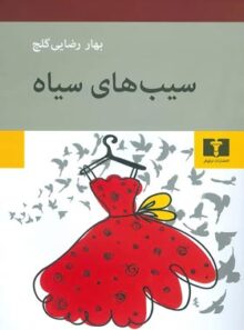 سیب های سیاه - اثر بهار رضایی گلج - انتشارات نیلوفر