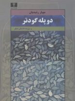 دو پله گودتر و سیزده داستان دیگر - اثر مهیار رشیدیان - انتشارات نیلوفر