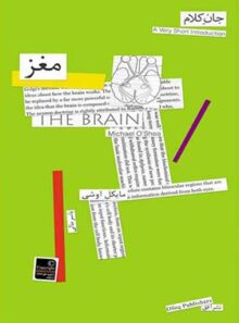 مغز - اثر مایکل اوشی - انتشارات افق