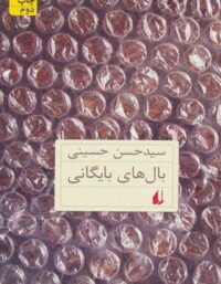 بال های بایگانی - اثر حسن حسینی - انتشارات افق