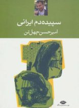 سپیده دم ایرانى - اثر امیرحسین چهل تن - انتشارات نگاه