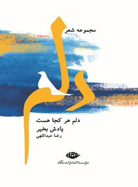 دلم هر کجا هست یادش بخیر - اثر رضا عبداللهی - انتشارات نگاه