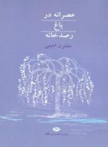 عصرانه در باغ رصد خانه - اثر مفتون امینی - انتشارات نگاه