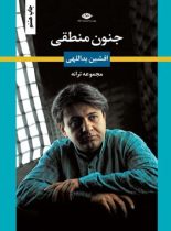 جنون منطقی - اثر افشین یداللهی - انتشارات نگاه