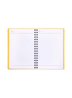 دفتر یادداشت شفاف 60 برگ مدل A6-605 پاپکو