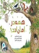 همه در امان اند - اثر فرانسوا لورن - انتشارات علمی و فرهنگی