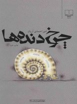 چرخ دنده ها - اثر امیر احمدی آریان - انتشارات چشمه