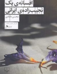 افسانه ی یک نجیب زاده ی ایرانی - اثر محسن دامادی - انتشارات چشمه