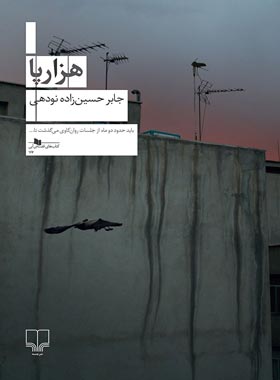 هزارپا - اثر جابر حسین زاده نودهی - انتشارات چشمه