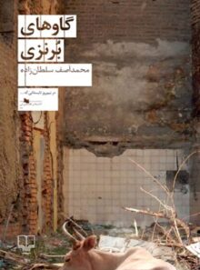 گاوهای برنزی - اثر محمد آصف سلطان زاده - انتشارات چشمه