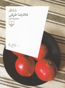 شلتاق - اثر غلامرضا طریقی - انتشارات چشمه