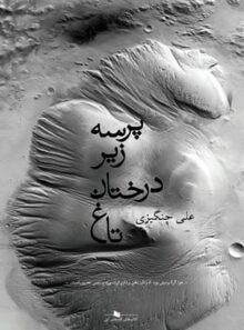 پرسه زیر درختان تاغ - اثر علی چنگیزی - انتشارات چشمه