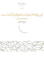 این پرنده از دوران سلجوقیان آمده است - اثر ایرج ضیایی - انتشارات چشمه