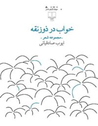 خواب در ذوزنقه - اثر ایوب صادقیانی - انتشارات چشمه