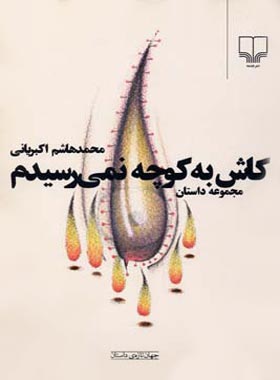 کاش به کوچه نمی رسیدم - اثر محمد هاشم اکبریانی - انتشارات چشمه