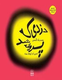 دزدی که پروانه شد - اثر محمدرضا شمس - انتشارات چشمه