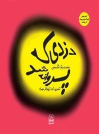 دزدی که پروانه شد - اثر محمدرضا شمس - انتشارات چشمه