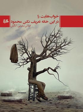 خواب هایت را در این خانه تعریف نکن محمود - اثر عباس سلیمی آنگیل - نشر ققنوس