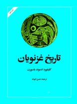 تاریخ غزنویان - اثر کلیفورد ادموند باسورت - انتشارات امیرکبیر