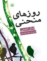 روزهای منحنی - اثر کمال شفیعی - انتشارات امیرکبیر