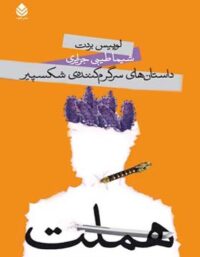 داستان های سرگرم کننده ی شکسپیر - هملت - اثر لوییس بردت - انتشارات قطره