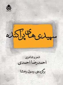 سپیدی های پراکنده - اثر احمدرضا احمدی، رسول رخشا - انتشارات قطره