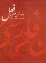 دستور زبان فارسی فعل - اثر حسن احمدی گیوی - انتشارات قطره