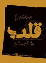 سندرم قلب شکسته - اثر سید حمید آتش پور - انتشارات قطره