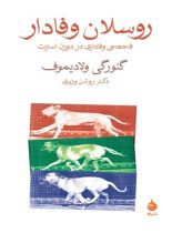 روسلان وفادار - اثر گئورگی ولادیموف - انتشارات ماهی