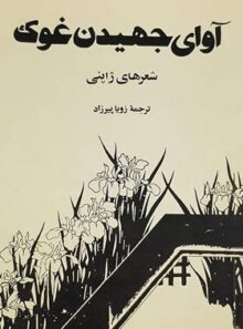 کتاب آوای جهیدن غوک - ترجمه زویا پیرزاد - انتشارات مرکز