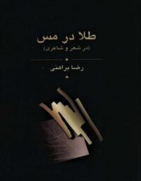 طلا در مس (سه جلدی) - اثر رضا براهنی - انتشارات زریاب