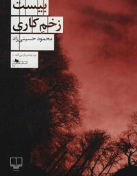 بیست زخم کاری - اثر محمود حسینی زاد - انتشارات چشمه