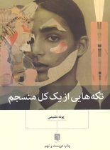 تکه هایی از یک کل منسجم - اثر پونه مقیمی - انتشارات بینش نو