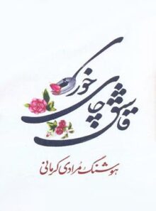 قاشق چای خوری - اثر هوشنگ مرادی کرمانی - انتشارات معین