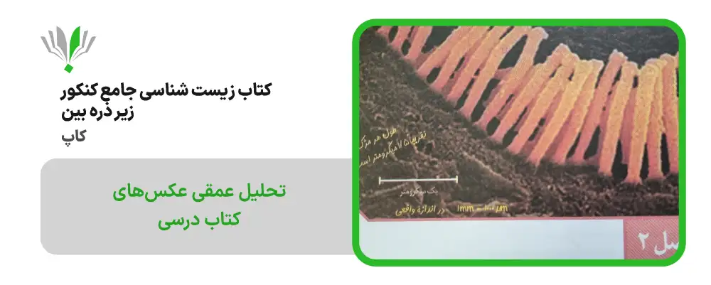 زیست شناسی جامع کنکور زیر ذره بین کاپ